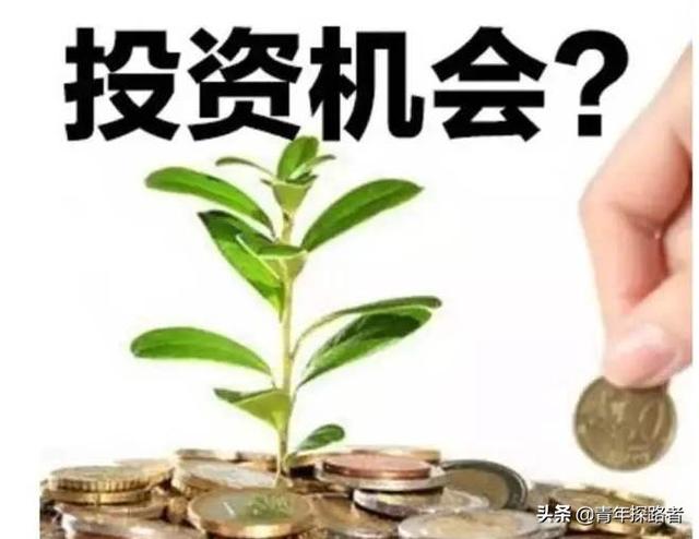 在家乡可以建个什么厂？不污染,投资在100万一类的？