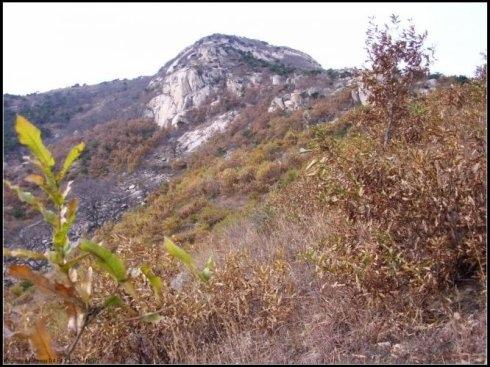 狗民论坛新晋狗民初级狗民:都说熟悉的地方没风景！现情况下，你还认同吗？
