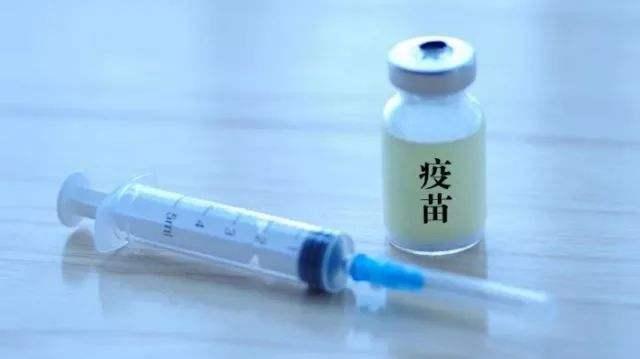 五联疫苗包括哪些多少钱:五联疫苗自费和免费哪个好？
