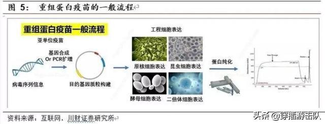 商道 美国辉瑞:辉瑞公司在医药届是什么级别的存在？