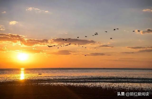 韩红终身不嫁的原因:为了报复父母一辈子单身是什么心理
