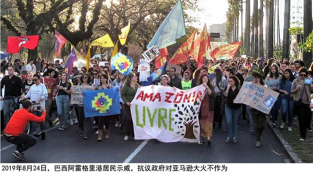 亚马逊莫拉氏鳄的基本信息:为什么没人救火亚马逊热带雨林？