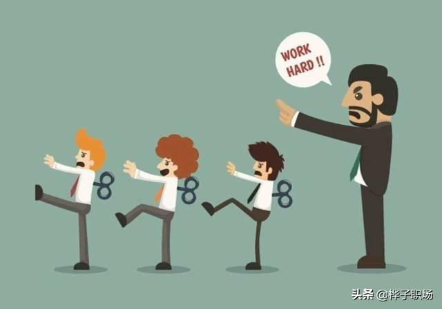 杨可凡:俗话说，宅子现四喜，家中出能人，这四喜指的是什么