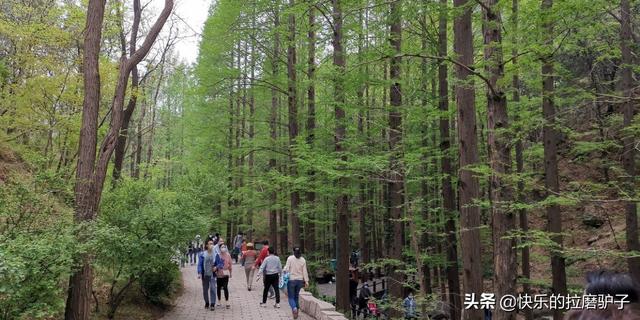 张文宏谈十一出游:由于疫情人们出行减少，这个五一长假你会外出旅行吗？