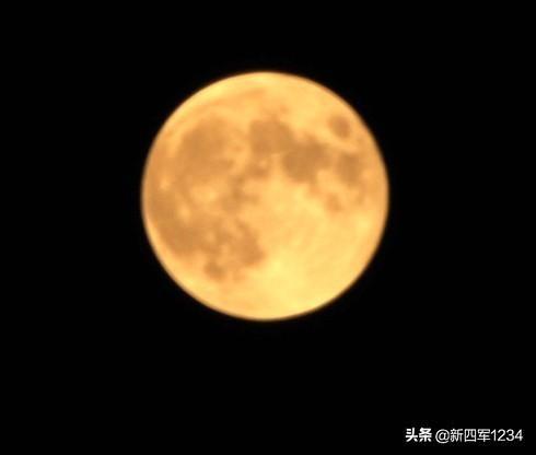 初学摄影用什么镜头,摄影爱好者拍鸟都使用什么镜头？