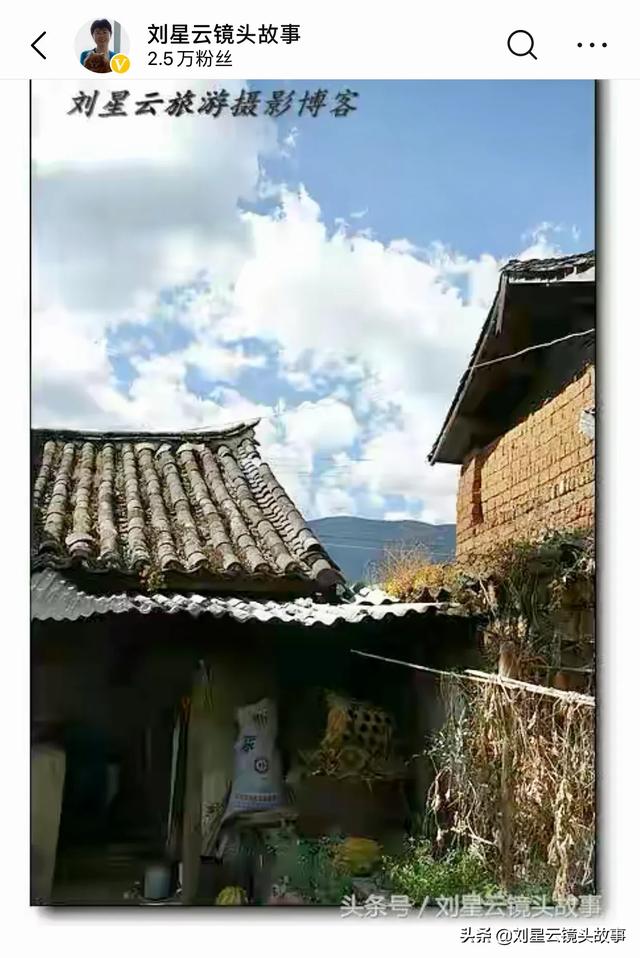 先生 肥狗 胖丫头:俗语：“五树进宅，人穷家败”五树指的啥？这句话有道理吗？