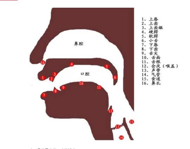 头条问答 - 混声,关闭,咽音,sls,这些唱法之间的关系属于重合还是相互