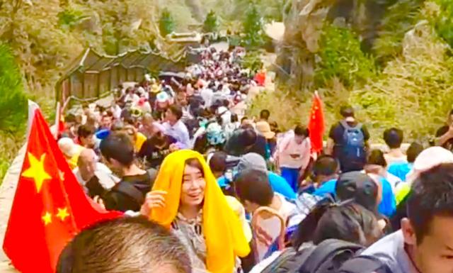 国庆长假宠物寄养一笼难求:国庆带宠物出游要注意什么？