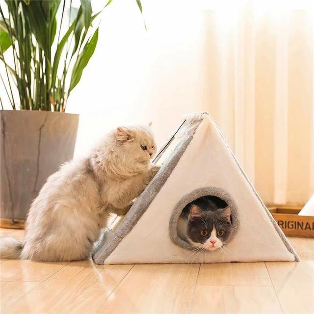猫窝:猫窝图片 用泡沫箱做个小窝，适合小猫用吗？为什么？