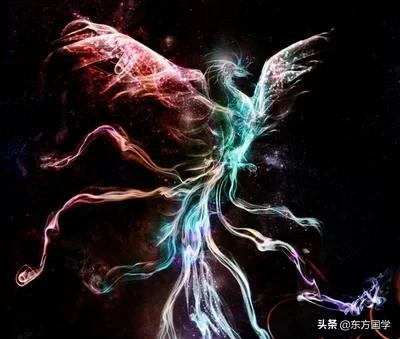 孔子鸟价值多少钱:我感觉始祖鸟的产品并不好看，它为什么卖那么贵？