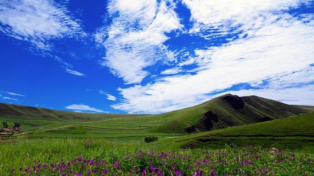 自我调节情绪的诗句:什么样的诗词能释放压力？