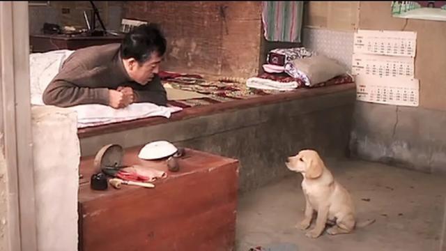 改变世界的犬类国语:动物题材类电影，你认为最为经典的是哪一部？