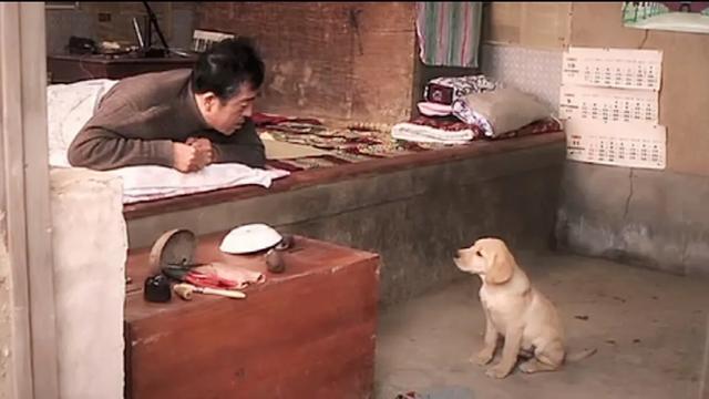 关于动物的电影18部:有没有好看的宠物类电影？