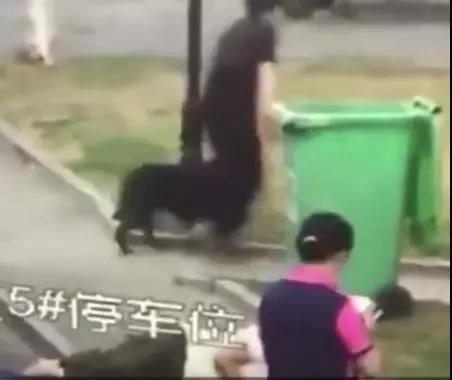 抚顺禁狗令:你对最近全国陆续推出的“禁狗令”怎么看？