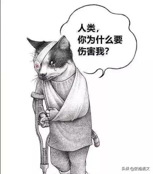 李双江之子李贺:现代少年好像对一切事缺乏敬畏之心，是父母教育哪里出了问题？