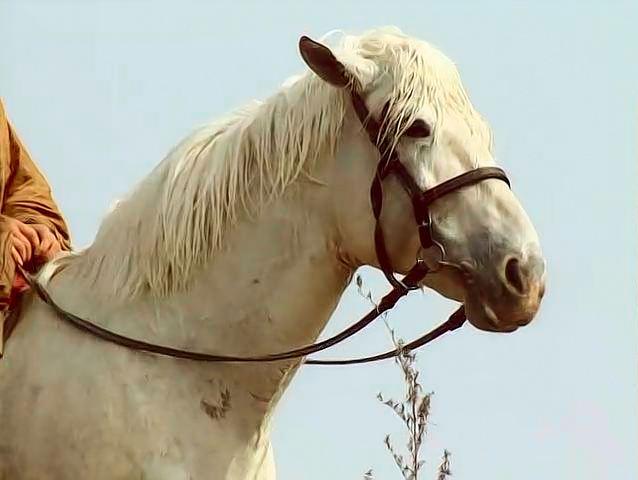 头条问答 - 三国时期的的卢马有那么邪气吗?(10个回答)