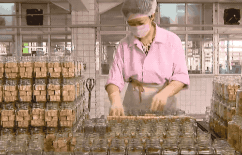 昆莱小雪人精良:非洲雄狮对战东北虎，谁会获胜？