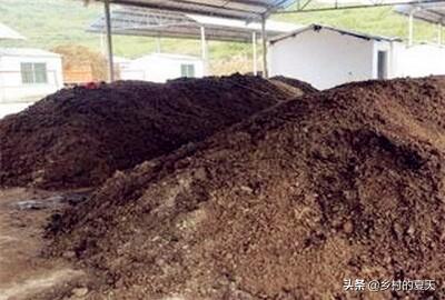 小彬彬前妻:你还记得多少长残了的童星？