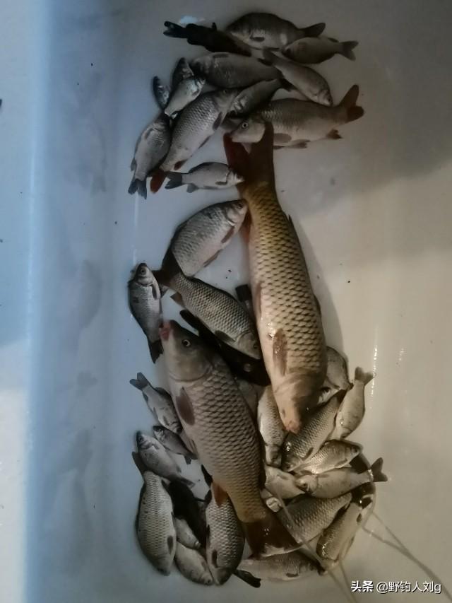 夜钓的时候,有没有遇到让你毛骨悚然的事？