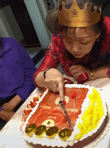 爆笑的动态GIF图片:熊孩子,小小鸽子敢跟我抢吃的!