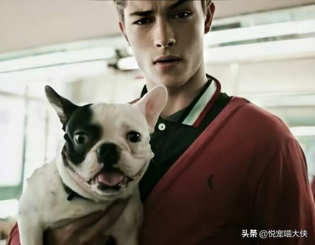 猴子调戏狗狗 结局让人大跌眼镜:为什么一将狗狗抱起来，它就会变得很老实，不乱动？