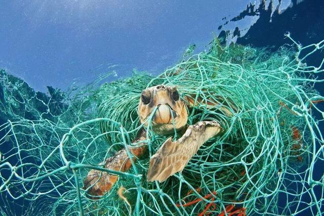 马里亚纳海沟:马里亚纳海沟是世界上最深的海沟，在海沟的下面还存在着什么？