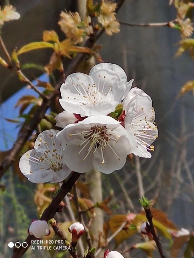 2万买的和田玉手镯,3万以上的和田玉手镯成本价有多少？