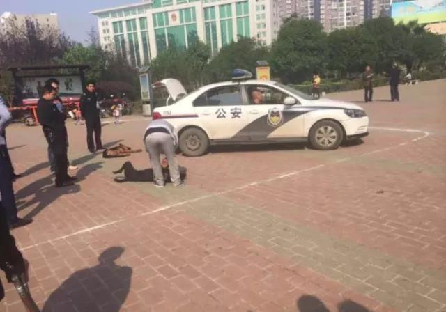 抚顺禁狗令:你对最近全国陆续推出的“禁狗令”怎么看？