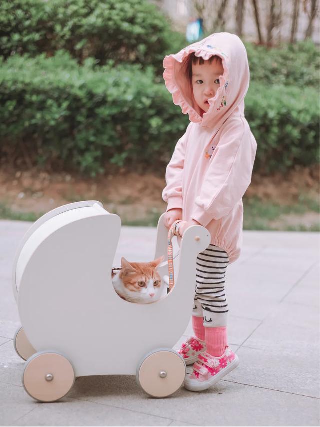 马鞍山宠物猫免费领养:领养一只猫好，还是买一只猫好？