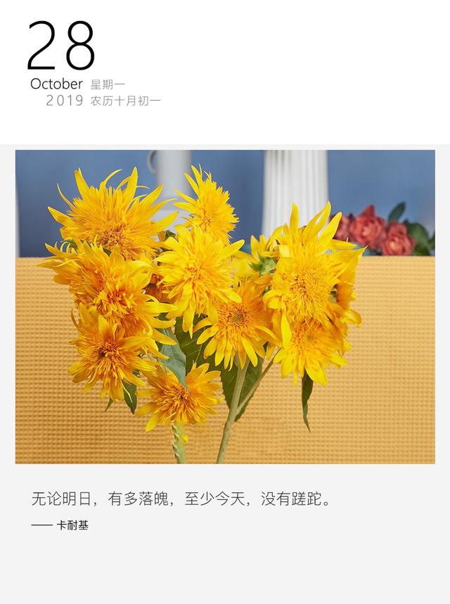 新的一周日签图片:不需要整天去追随着太阳,你也可以做到自己发光