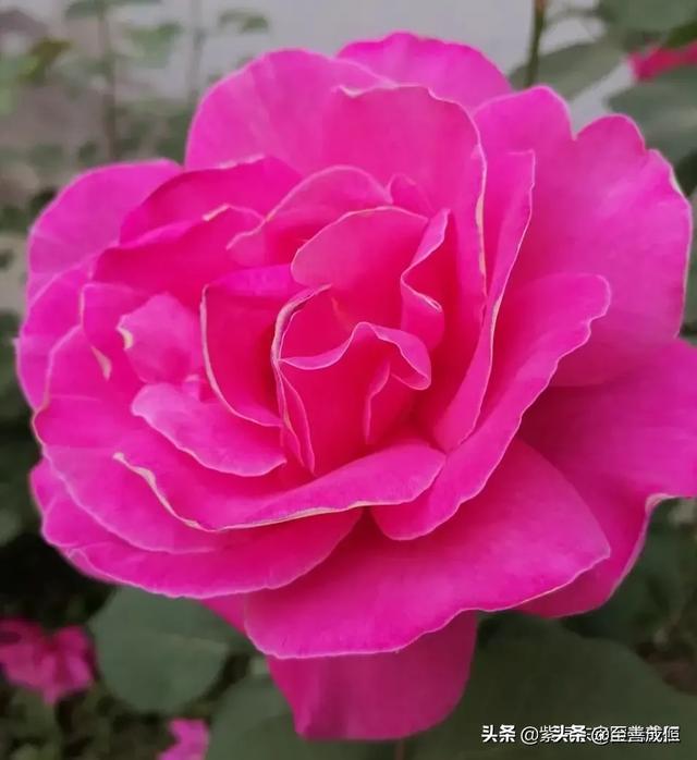 嘉宾国学八字课堂博客,当今世界学历重要还是能力重要？