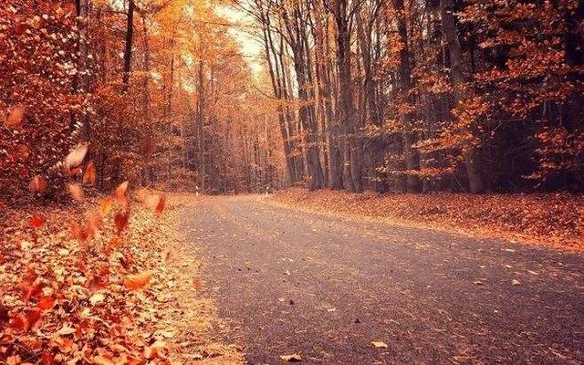 抑郁症都有哪些症状？插图10