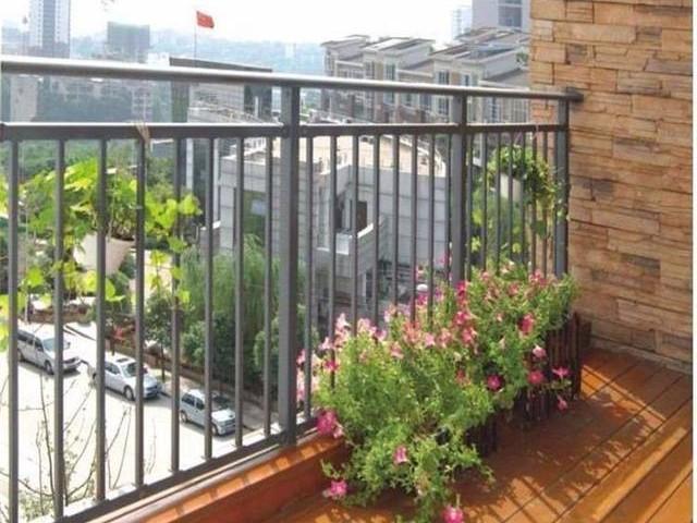放阳台耐热耐晒植物有哪些，阳台护栏种花，种什么品种好看