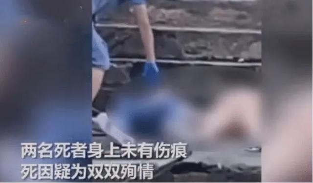 定西地震惊现狗坚强:南通某河发现一对男女尸体，两人紧紧相拥，是情侣殉情吗？