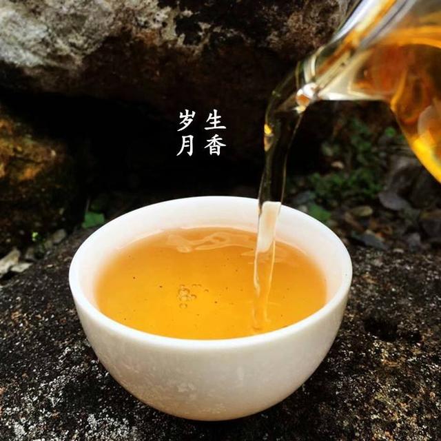 福鼎哪里白茶最正宗？