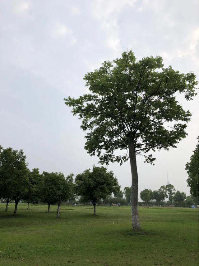 微信辞职的简短文案:在企业微信上跟领导说离职，领导要当面沟通，怎么聊？