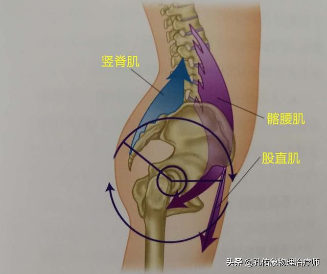 有腰肌劳损还能做俯卧撑吗：腰肌劳损做俯卧撑有用吗