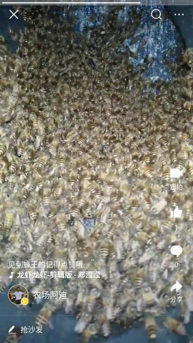 穆熙妍微博础稳定:穆熙妍微博 怎么分蜂才能防止蜜蜂再次分蜂啊？