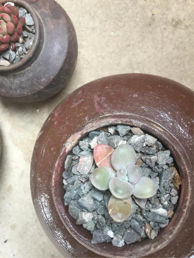 孩子脾气暴躁风水化解,面对脾气暴躁的宝宝，妈妈要如何应对？