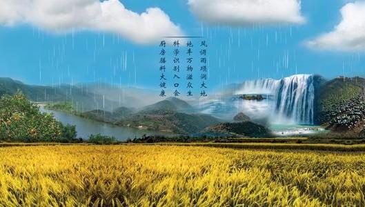 种植中药材农民有什么机遇吗？