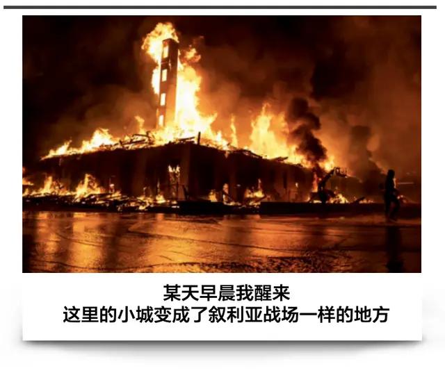 微波炉虐猫事件:虐待动物应该被判刑吗山东大学生范某某虐猫事件，你怎么看
