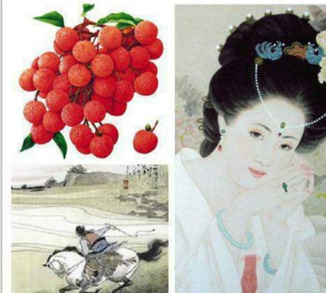 杨玉环图片:“一骑红尘妃子笑”，杨贵妃依靠皇帝才能吃到荔枝。你呢？