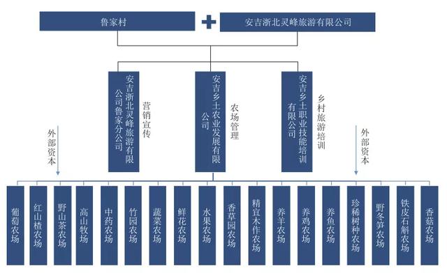 成功案例说明:当前乡村振兴比较成功的案例有哪些？