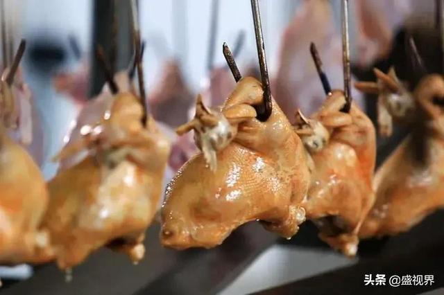 豆蔻街(谁知道河南滑县道口烧鸡哪一家最正宗？