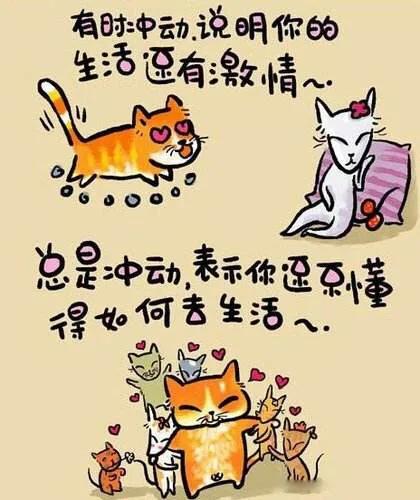 什么情况下你会冲动做事