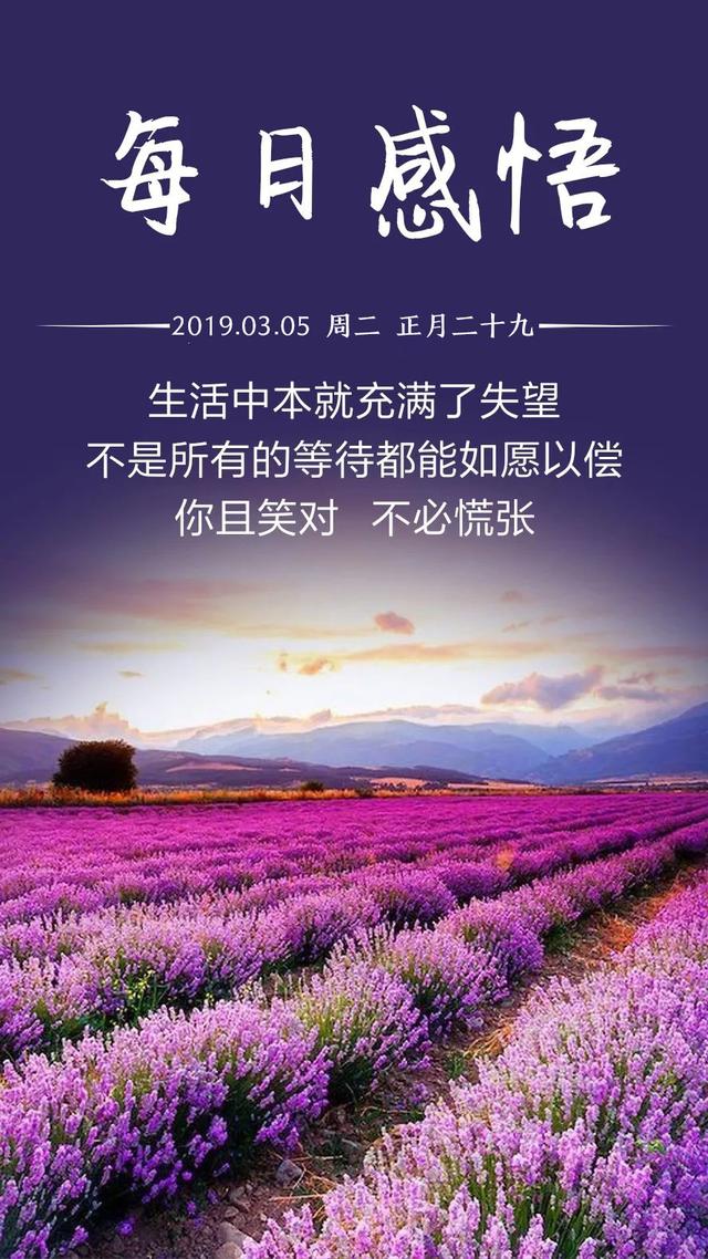 日签图片早安周二190305：唯有努力不会被辜负