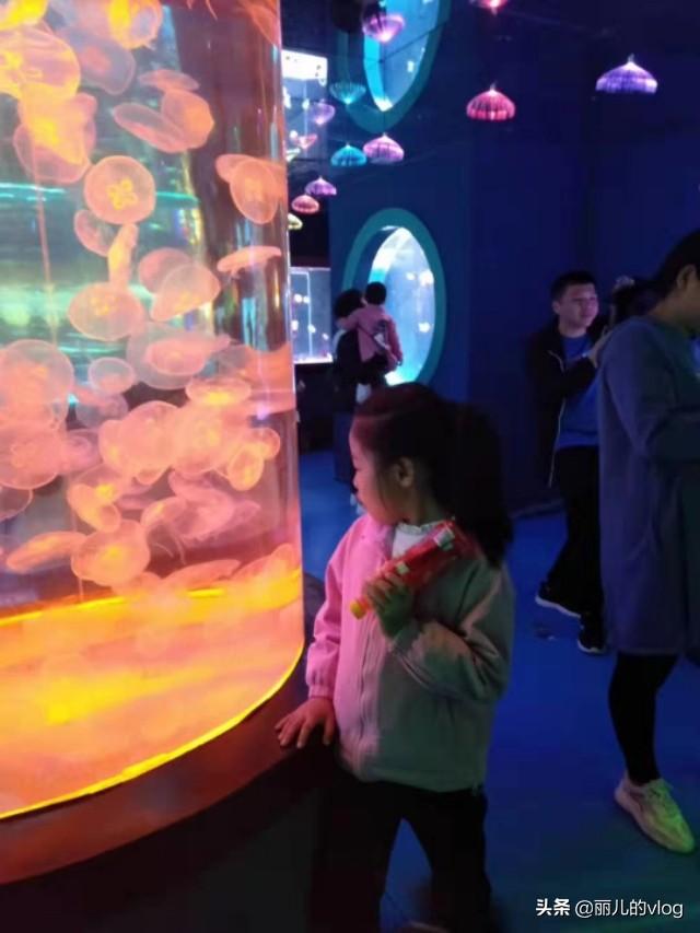 六一去哪里玩(六一去哪里玩最好哈尔滨)