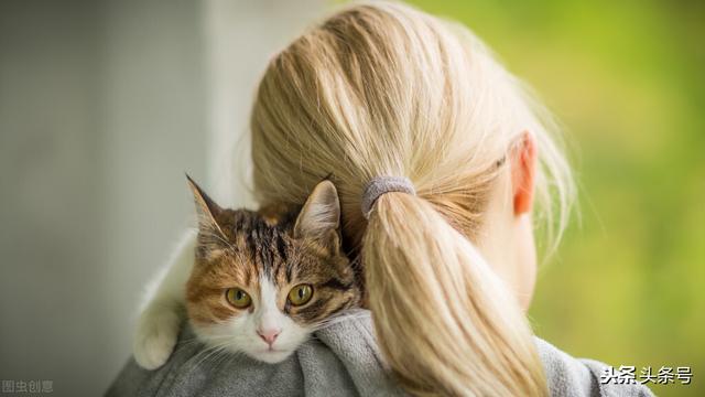 为什么猫更喜欢跟女主人玩耍？插图24