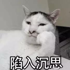 皇誉宠物食品官网:是不是越好的猫粮吃的越少？