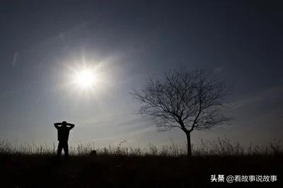 智商越高的人睡觉越容易做梦,为什么说太聪明的人往往都是孤独的？